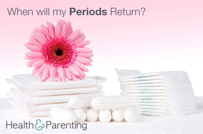 When Will My Periods Return?