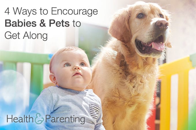 4 Ways to Encourage Babies & Pets to Get Along