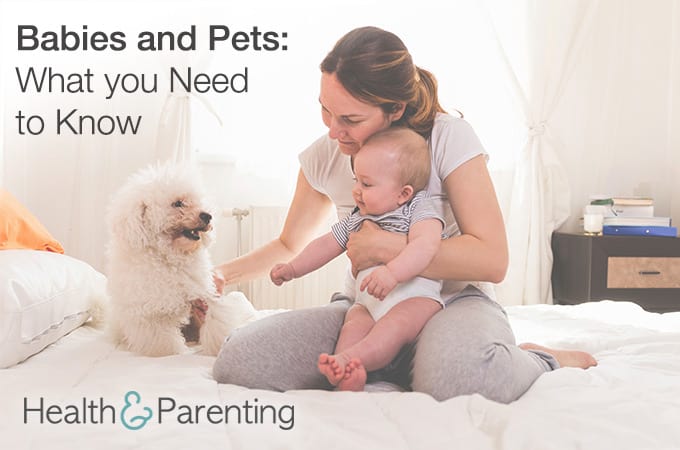 Babies and Pets: What you Need to Know